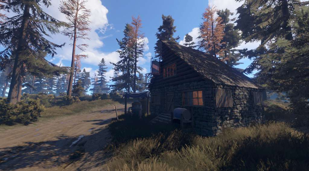 RUST PC Steam CD Key